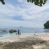 Bukan Hanya Penjara, Nusakambangan Dikenal sebagai Lokasi Wisata Eksotis