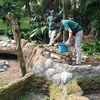 Bandung Zoo Terus Berbenah, Pengelola Perbaiki Kandang Satwa