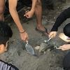 Mahasiswa dan Dosen ITS Bikin Bahan Bangunan dari Erupsi Gunung Semeru