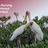 Kerajaan Burung & Eksotisnya Pulau Rambut