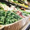 Diet Sehat dan Nikmat dengan Mengonsumsi 7 Sayuran Ini